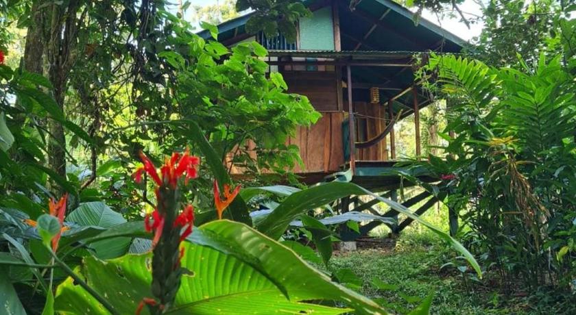Live the Jungle - Rustic Refuge