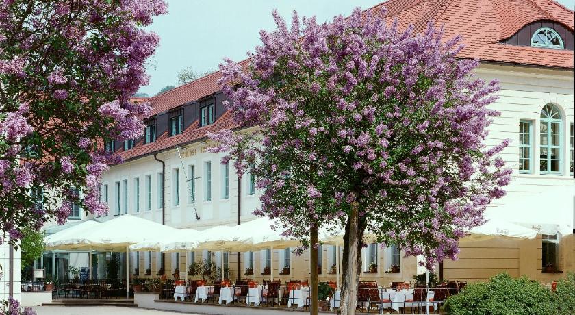 Schloss Hotel Dresden Pillnitz photo