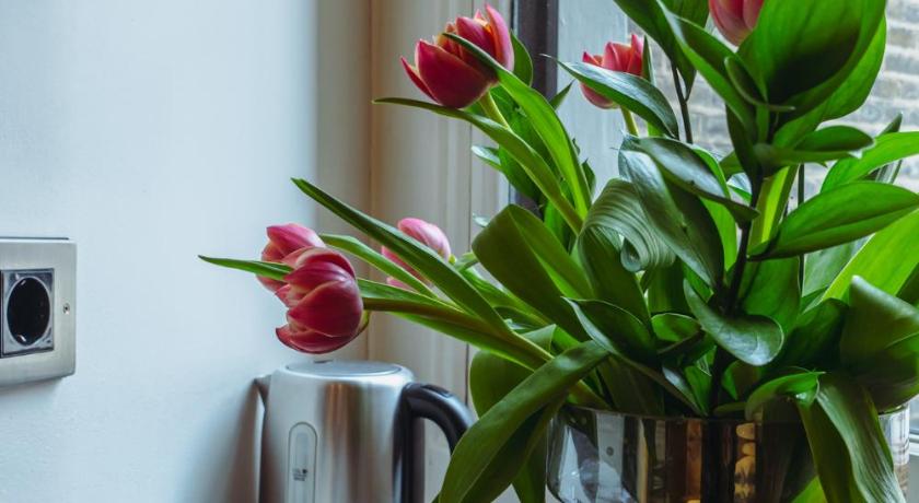 Image of Small Single Room 9