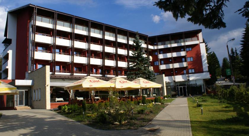 Hotel Carpati