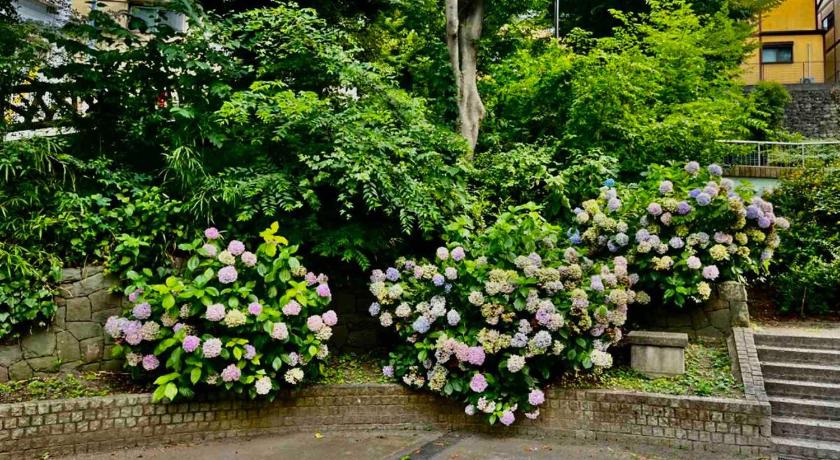 Tokyo Sweet house 东武练马201 2-Star Single Room lobby