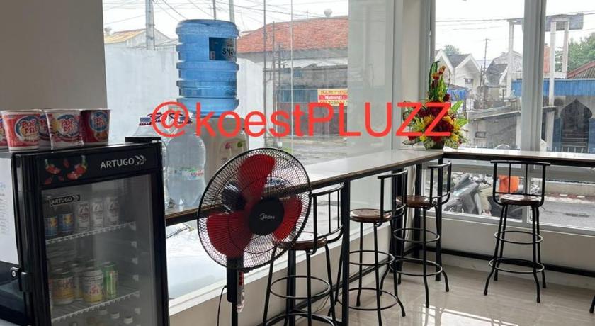 koestPLUZZ - image 3