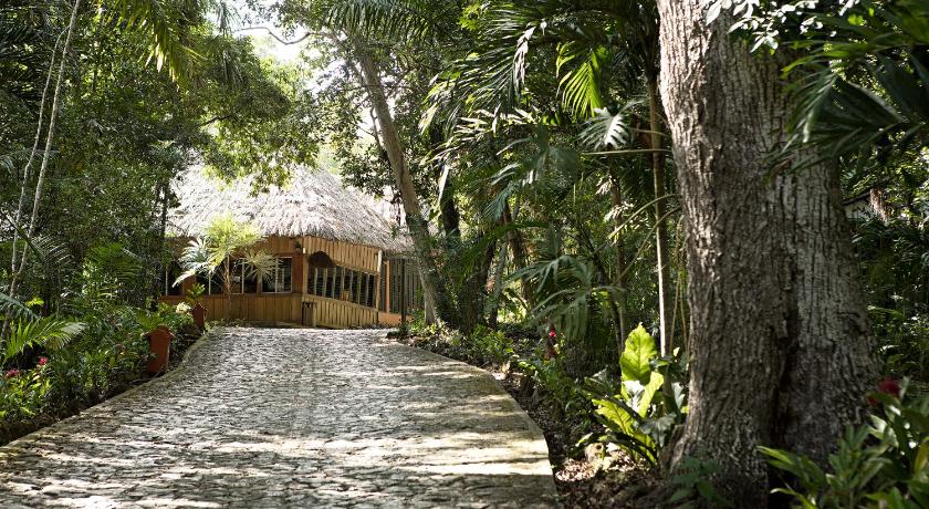 Hotel Jungle Lodge Tikal photo