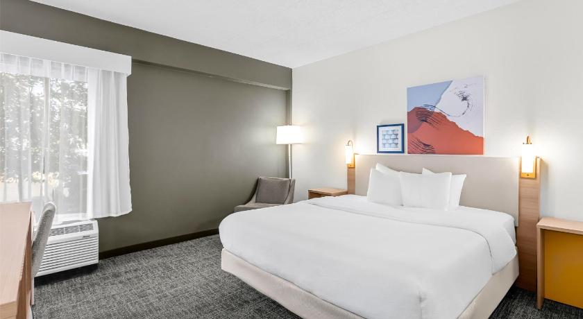 Image of 1 King Bed 0