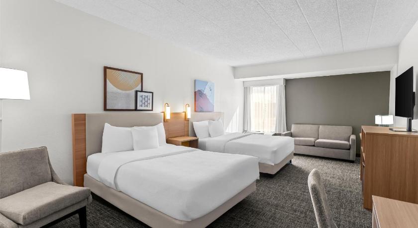 Image of 2 Queen Bed Studio 0