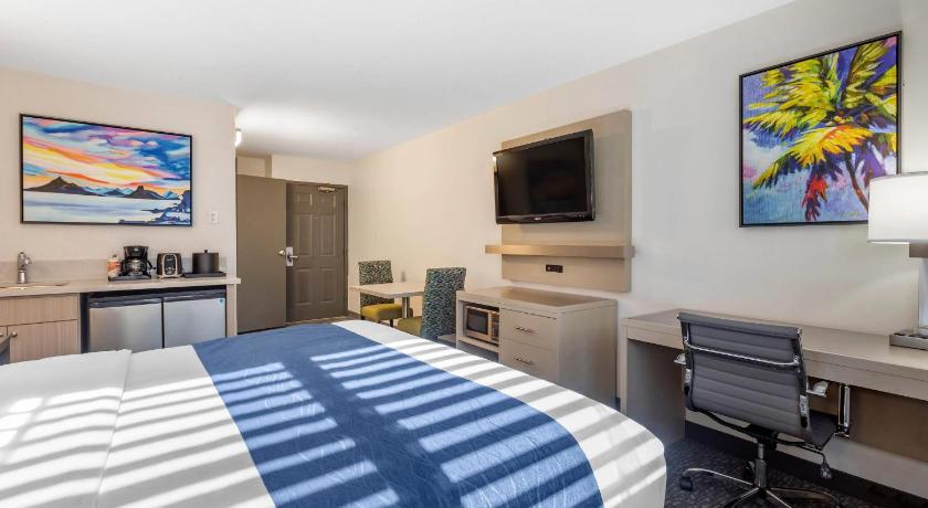 Image of 1 King Bed, Nonsmoking 3