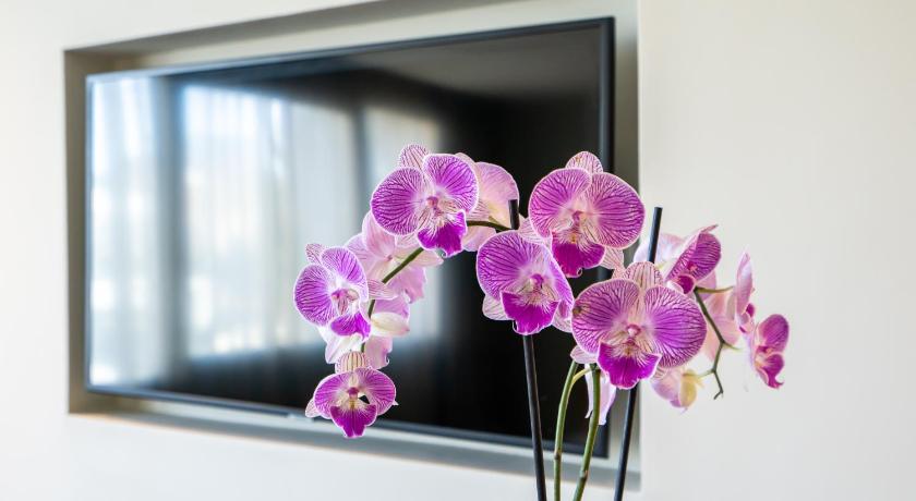 Image of Junior Suite 17