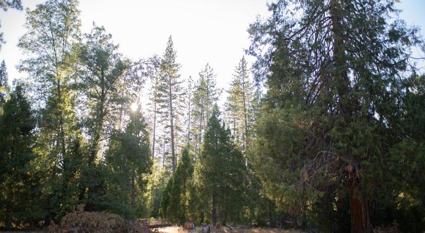 Groveland Tiny Blanca at Yosemite Gateway 4-Star Accommodation exterior