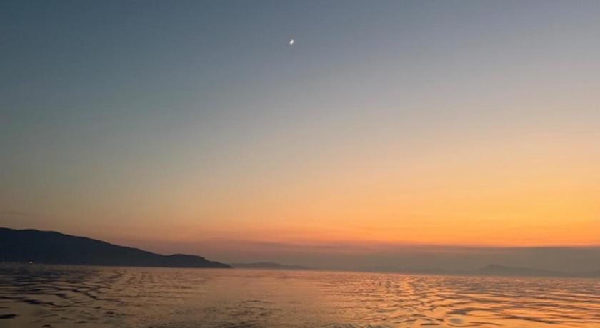 奄美大島 Villaとうとがなし 4つ星 宿泊施設 客室