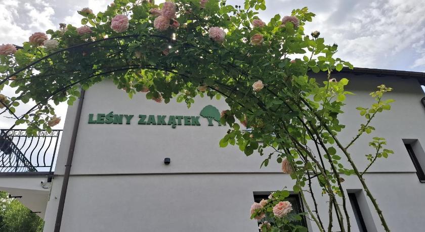 Lesny Zakatek