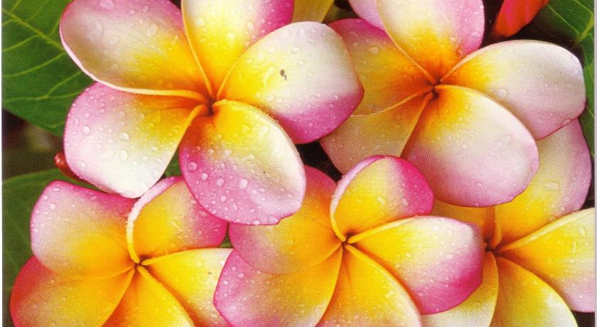 Chez Hiva (Town & Beach) Hostal - SERNATUR: 34383 photo