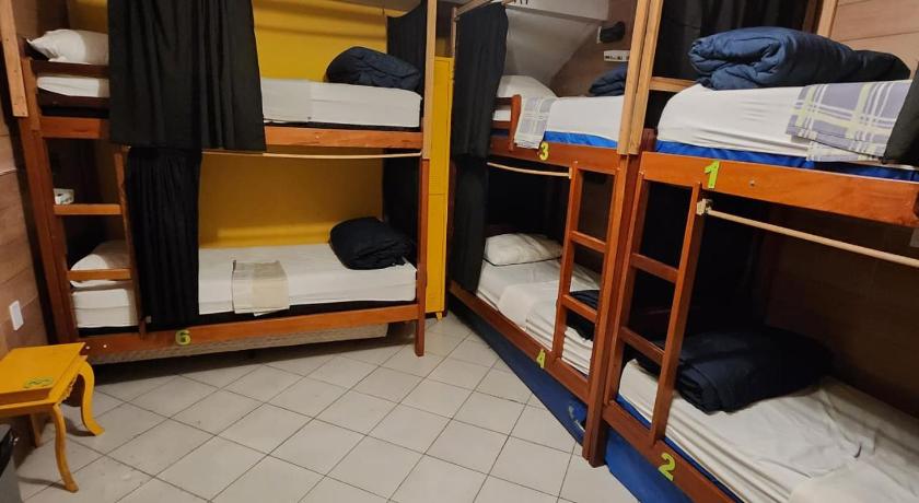 Image of Bunk Bed in Mixed Dormitory Room 0