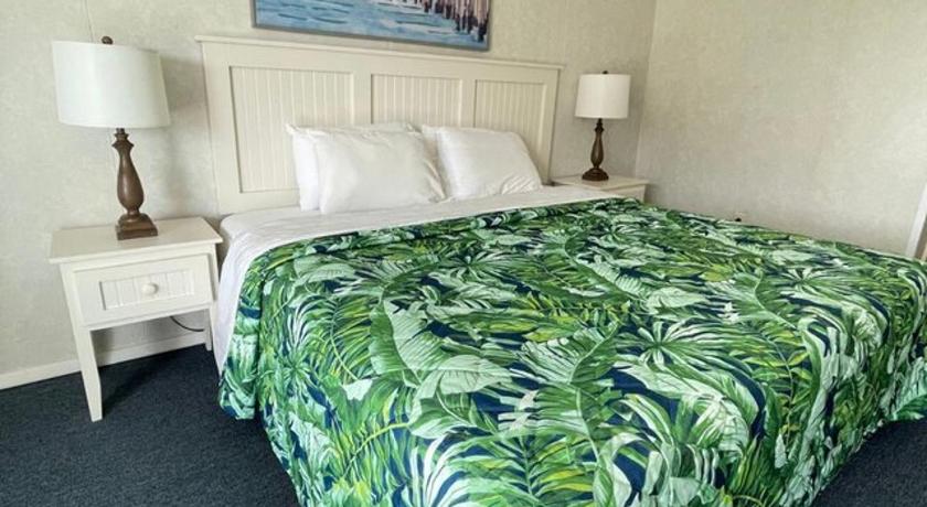 托普赛尔海滩 The Breezeway Motel & Resturant 5星级 住宿 套房