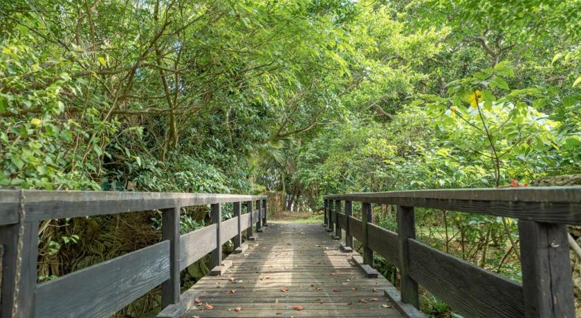 石垣 車で市街地近くの静かな田舎空間一沖縄古民家の宿 4星级 单人房 景观