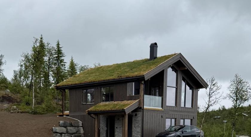 Exclusive cabin with sauna and mountain view in Geilo