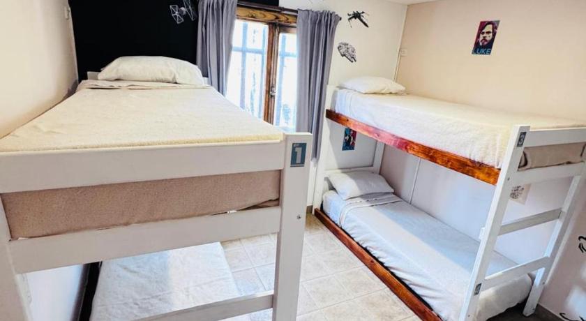 Image of Single Bed in 4-Bed Dormitory Room 1