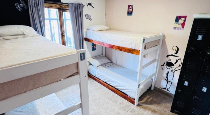 Image of Single Bed in 4-Bed Dormitory Room 0