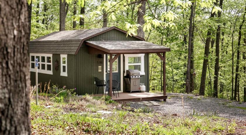 버켈레이 스프링 (WV) Modern Tiny Cabin with Game Room & Fire Pit in West Virginia 3성급 숙소 객실