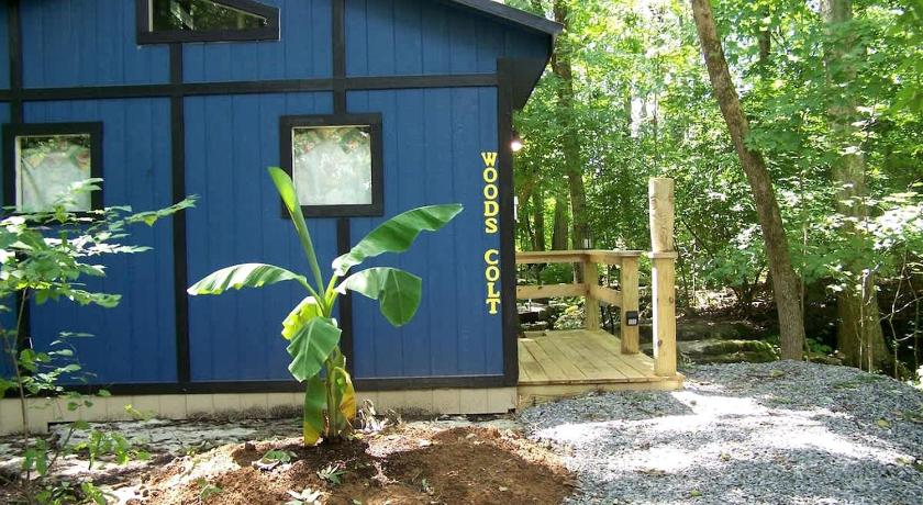 Cozy Tiny House in Tennessee Forest with Loft Beds & Country Breakfast