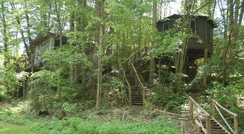 크럼플러 Tree Top Cabin in Crumpler, North Carolina 2성급 숙소 객실