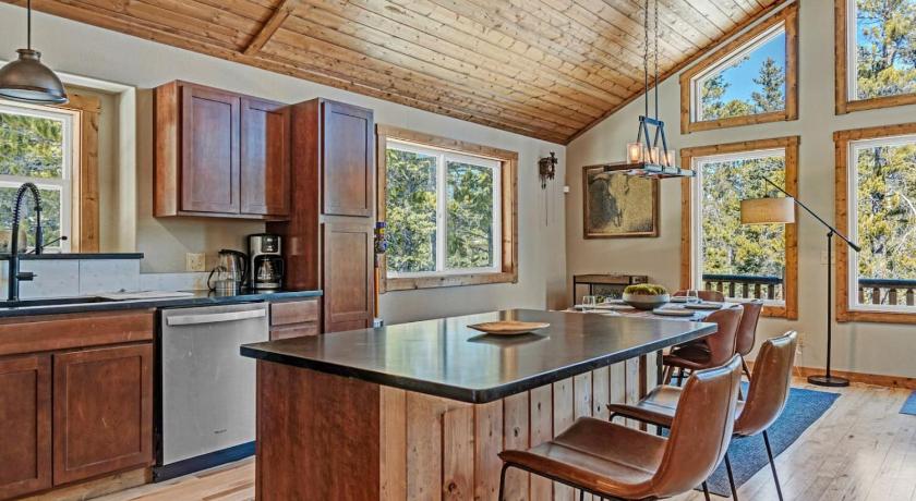 アルマ (CO) Forest View Cabin Near Breck and Keystone 3つ星 宿泊施設 外観