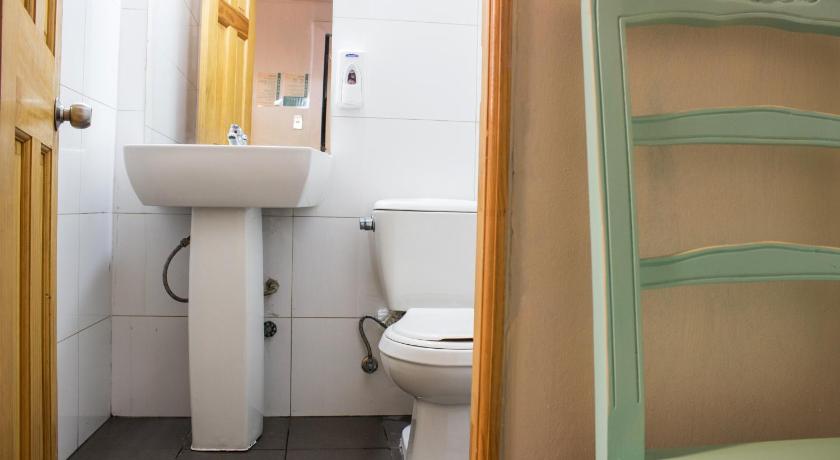 Hostal Forestal photo
