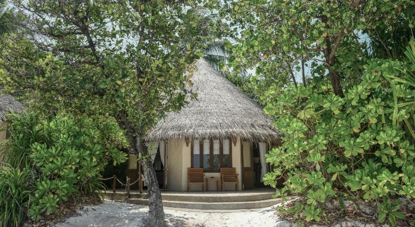 Coco Palm Dhuni Kolhu - image 6