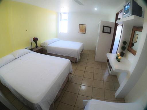 瓦哈卡 Oaxaca Guest Hotel 酒店 大堂