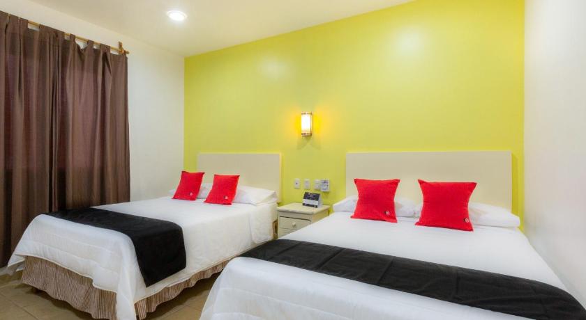 瓦哈卡 Oaxaca Guest Hotel 酒店 套房