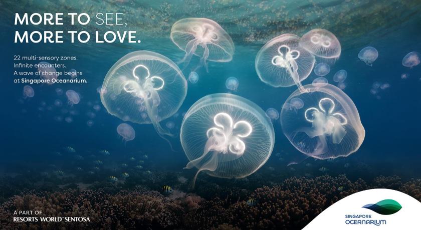 3D2N Seas The Day Package - Deluxe Room with complimentary One-Day Tickets for 2 Persons to Singapore Oceanarium (3D2N Seas The Day Package - Deluxe Room with complimentary One-Day Tickets for 2 People to Singapore Oceanarium)圖片 8