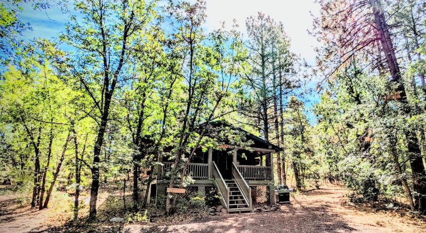 파인탑 (AZ) Charming Log Cabin in Tall Pines w Large Deck 4성급 숙소 객실