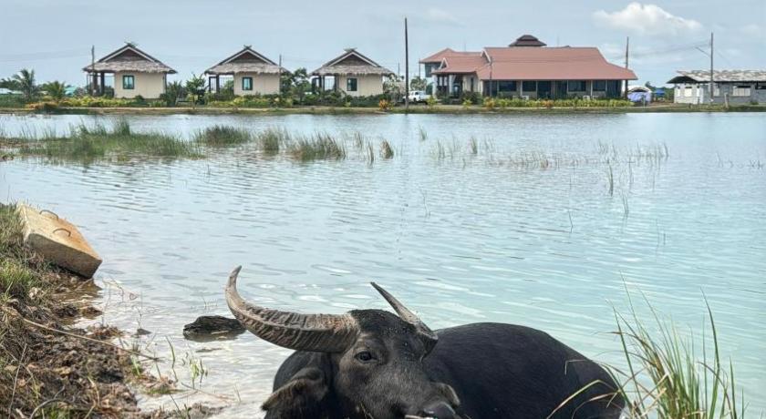 パッタルン Nabua Thalenoi Resort นาบัว ทะเลน้อย รีสอร์ท 3つ星 ホテル スイート