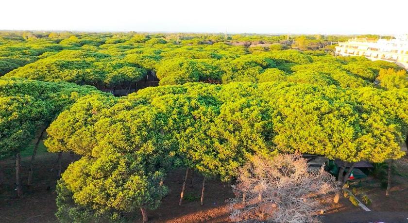 罗马 Casa Vacanze della Pineta 2星级 单人房 大堂