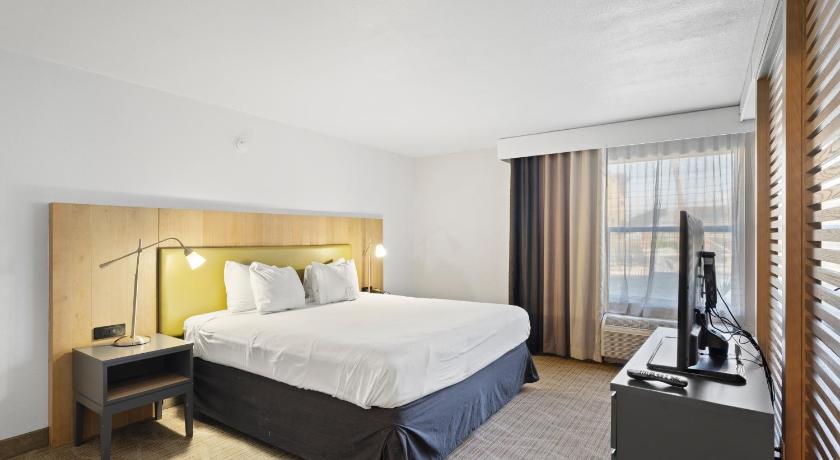 Bild av Rum med queen size-säng - Handikappanpassat (1 Queen Bed Accessible Room) 1