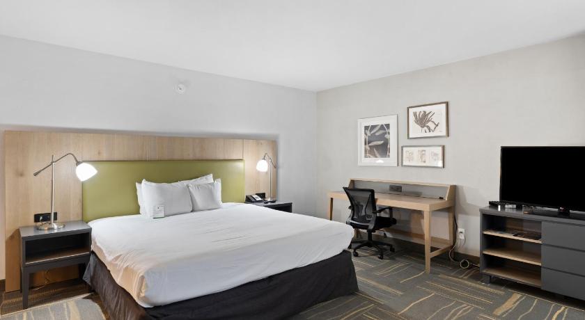 Image of 1 King Bed Junior Suite 4