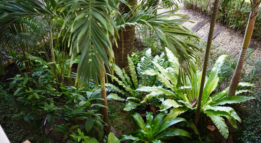 Baan Pitcha - image 23