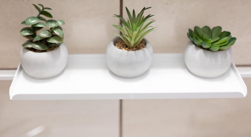 Timișoara Sunrise Apartment 3-Star Single Room room