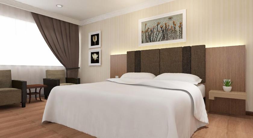 克隆 Hotel Anika 3星级 酒店 泳池