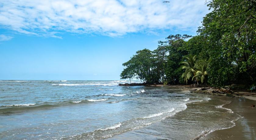 Puerto Viejo de Talamanca Soul Rebel Hostel Hotel view