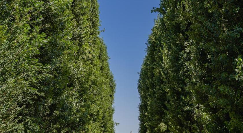 摩德纳 Villa Iris 4星级 民宿 泳池