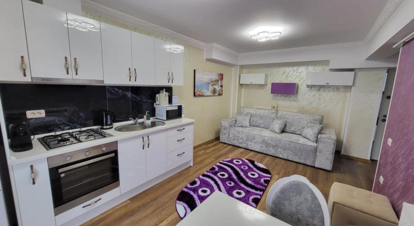 Aly Apartaments Suceava