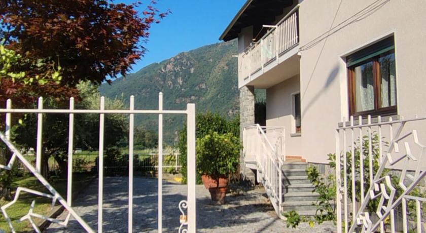 agrifoglio