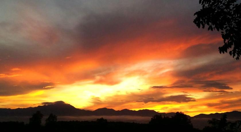 プラオ Napahong Treehouse นาป่าฮง Andromeda & Cassiopeia 4つ星 ゲストハウス ロビー