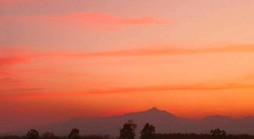 プラオ Napahong Treehouse นาป่าฮง Andromeda & Cassiopeia 4つ星 ゲストハウス レストラン