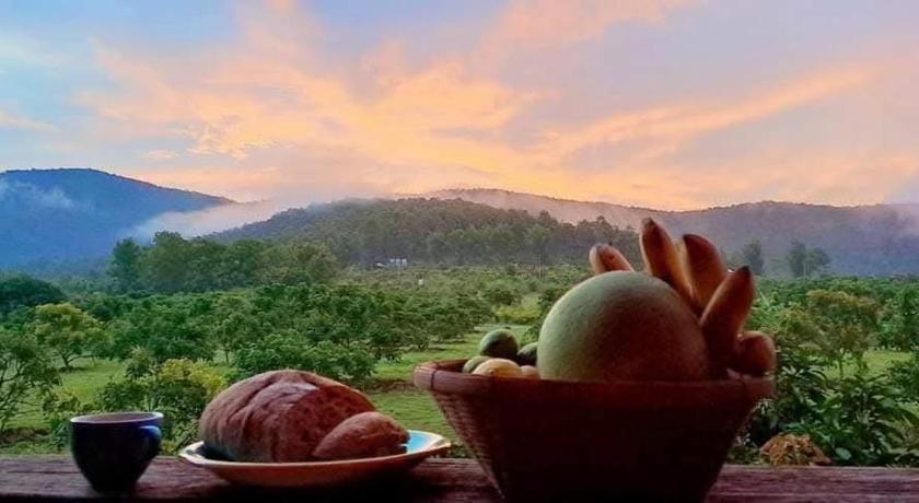 プラオ Napahong Treehouse นาป่าฮง Andromeda & Cassiopeia 4つ星 ゲストハウス 客室