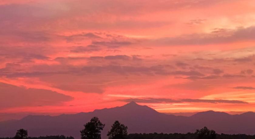 プラオ Napahong Treehouse นาป่าฮง Andromeda & Cassiopeia 4つ星 ゲストハウス 客室