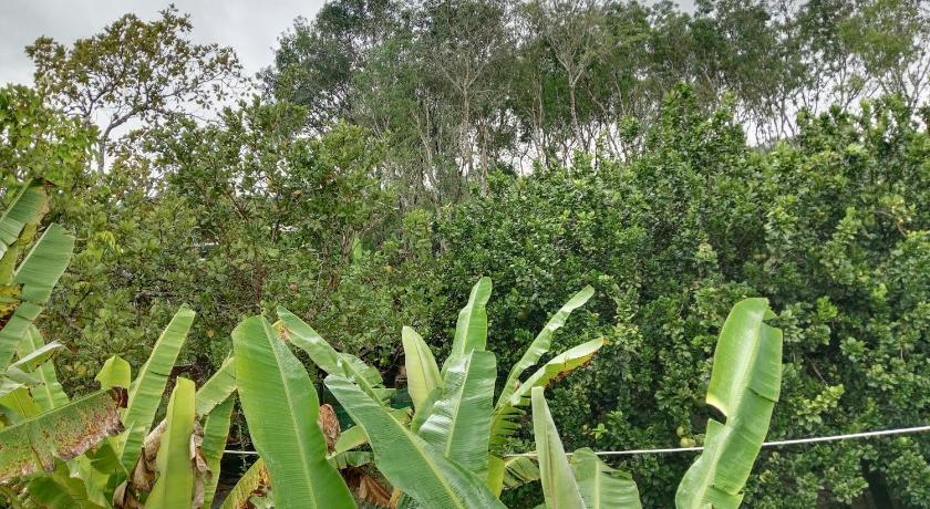 ナムカットティエン Đuc Phat Homestay 4つ星 ゲストハウス 施設