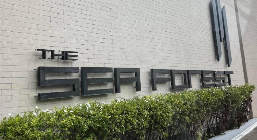 罗勇 The sea forest 101 5星级 酒店 景观