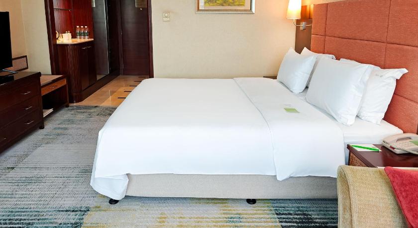 Imagen de 1 King Premium Lounge Access 4