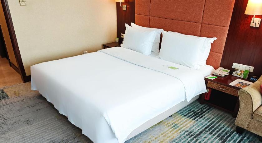 Imagen de 1 King Premium Lounge Access 5